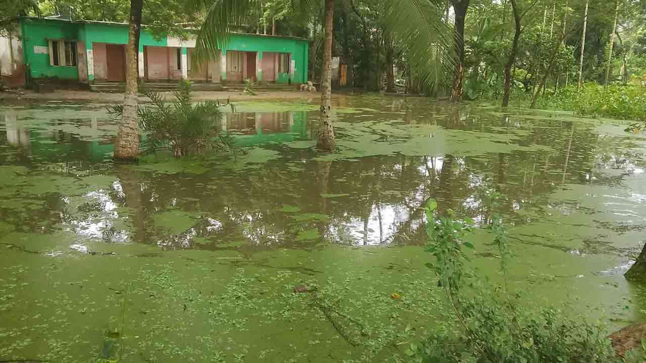 ছবি: দেশ টিভি