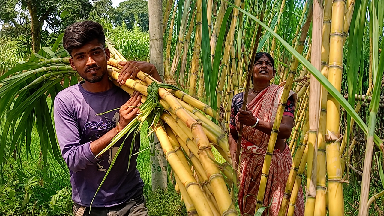 ছবি: দেশ টিভি