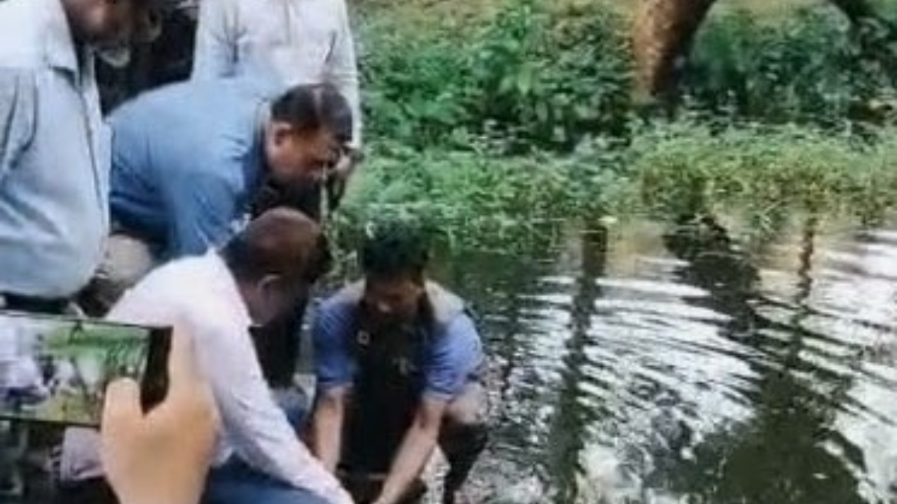 ছবি : দেশ টিভি