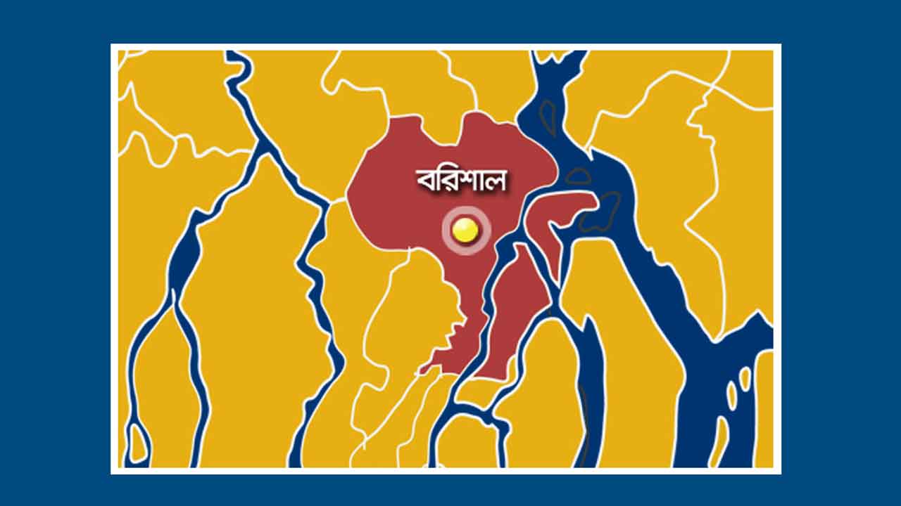 বরিশালে বিদ্যুতায়িত হয়ে দগ্ধ সবুজের মৃত্যু