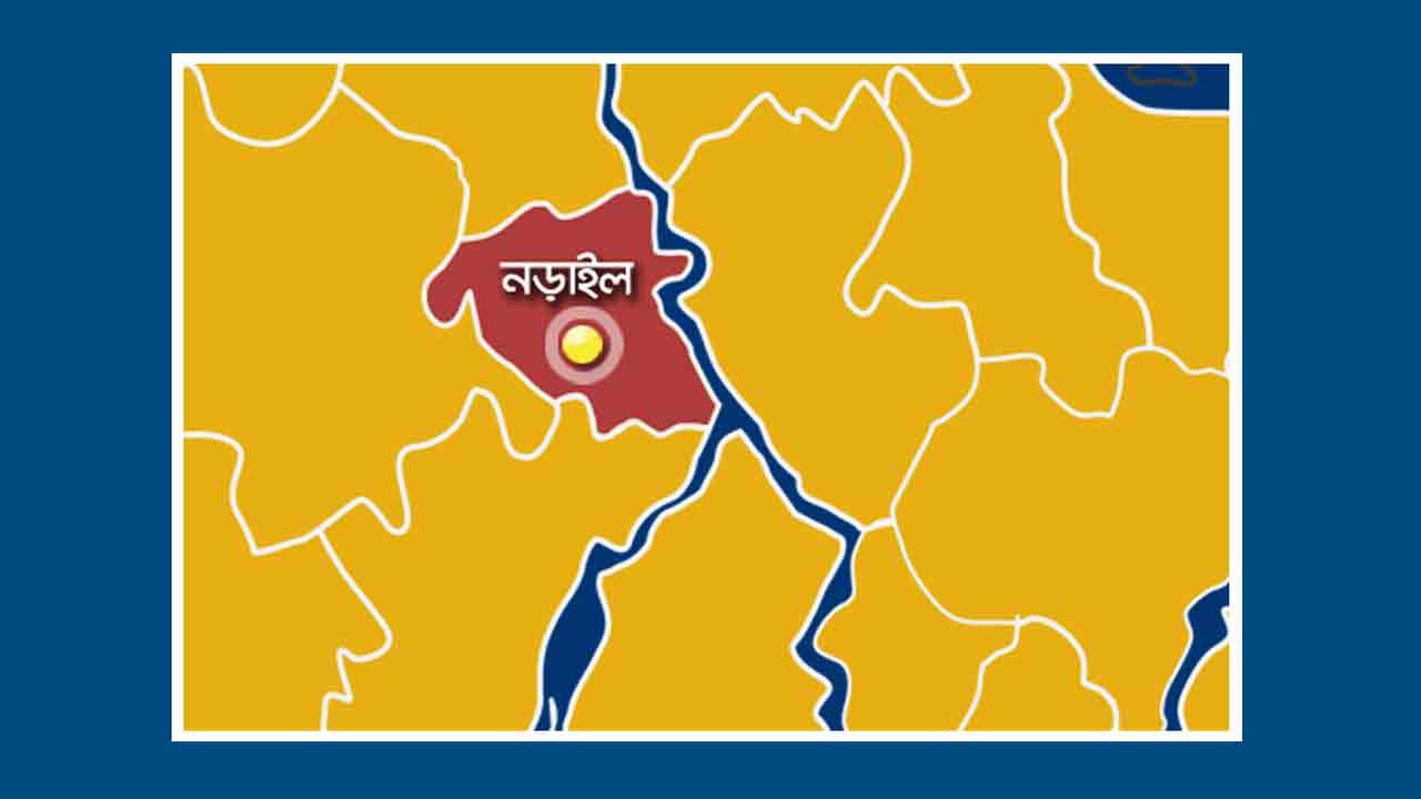 নড়াইলে ট্রলির ধাক্কায় চালক নিহত