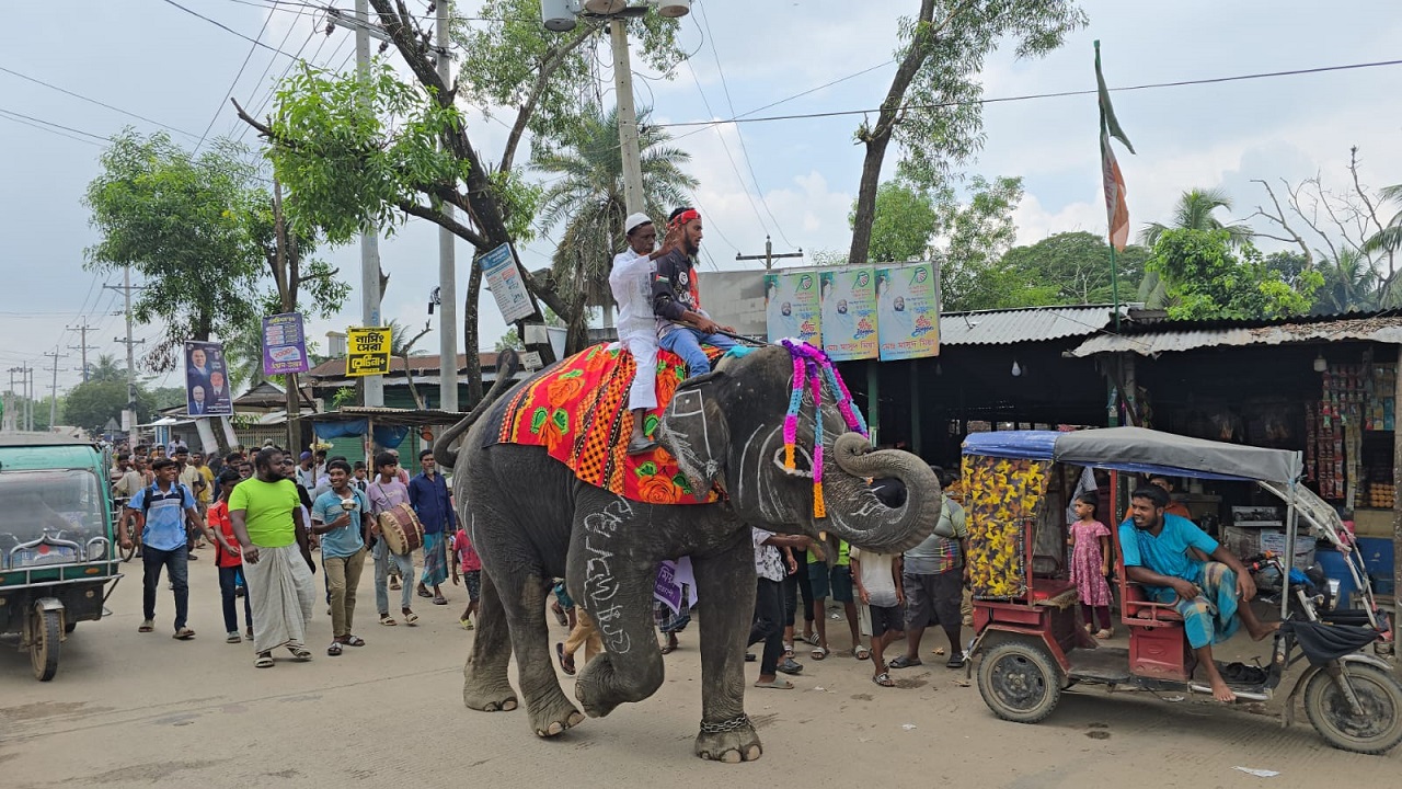 ছবি: দেশ টিভি