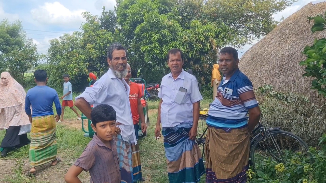 টাঙ্গাইলে ১০টি ঘোড়া জবাই, ৭টির মাংস নিয়ে পালিয়েছে দুর্বৃত্তরা