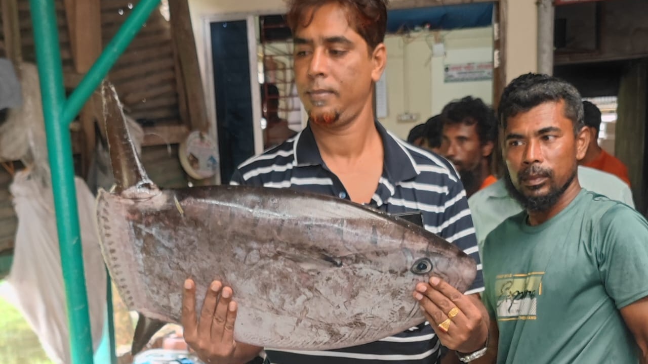 ছবি: দেশ টিভি