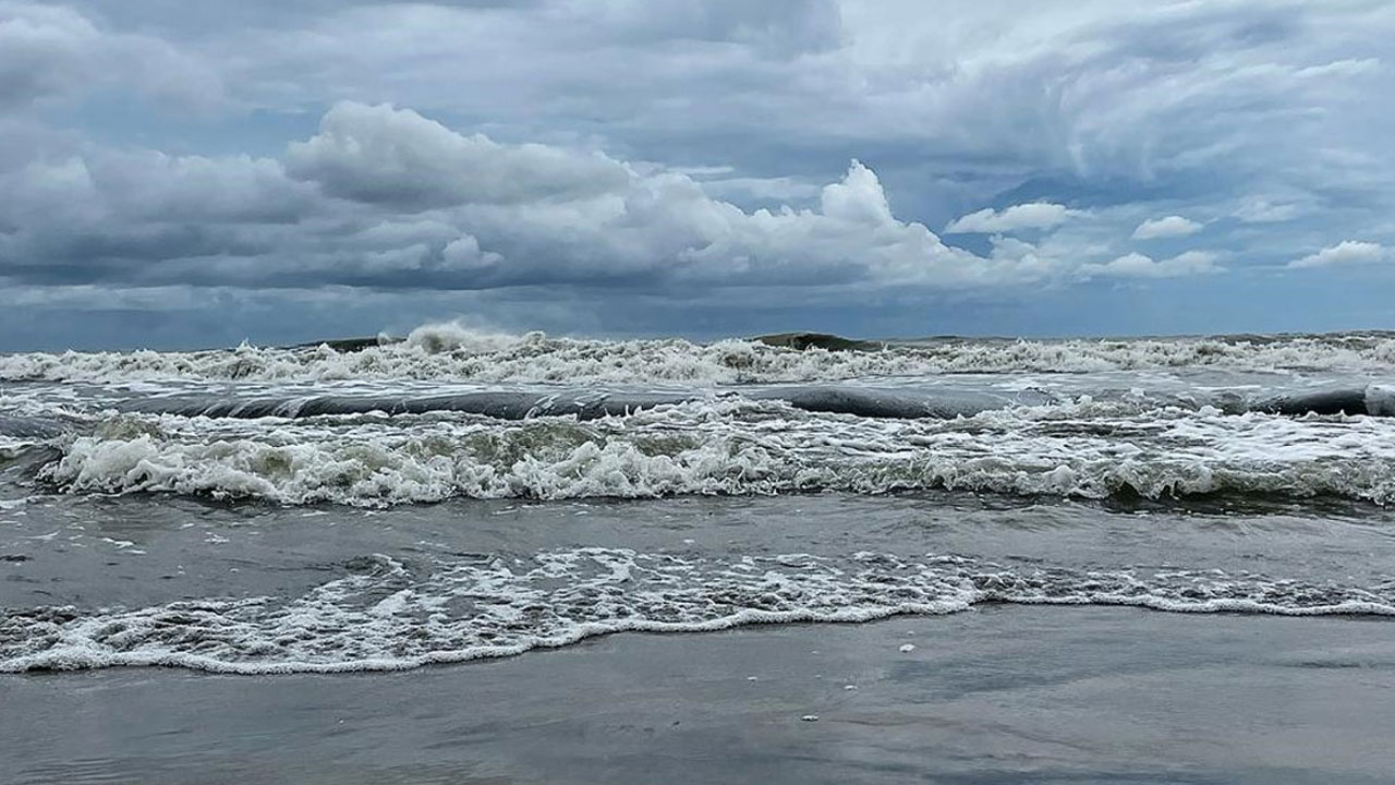 ছবি : সংগৃহীত