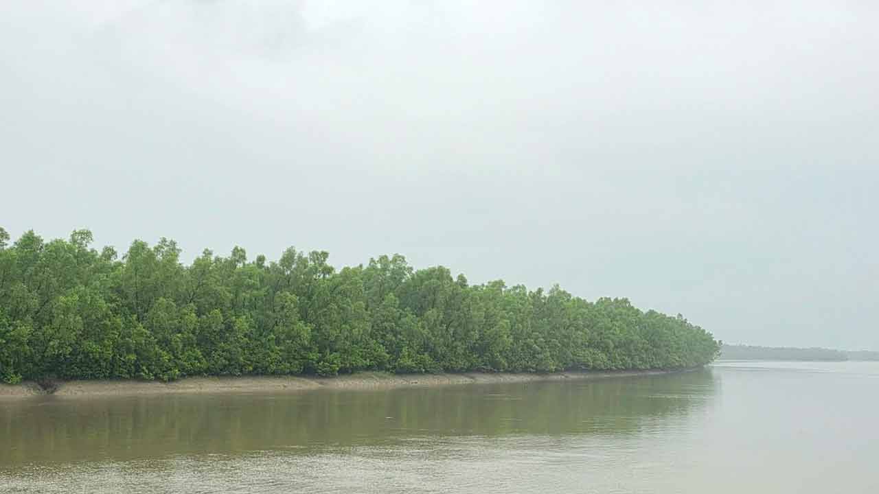 ছবি: দেশ টিভি