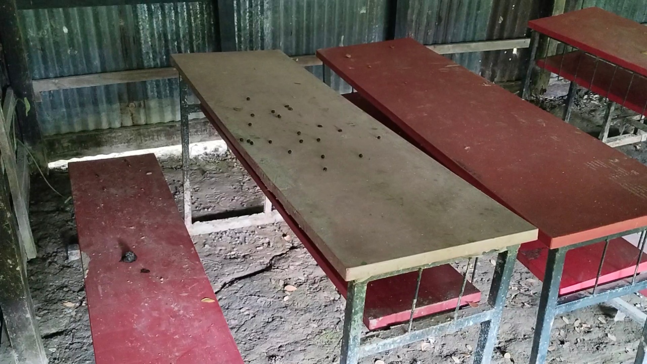 ছবি: দেশ টিভি