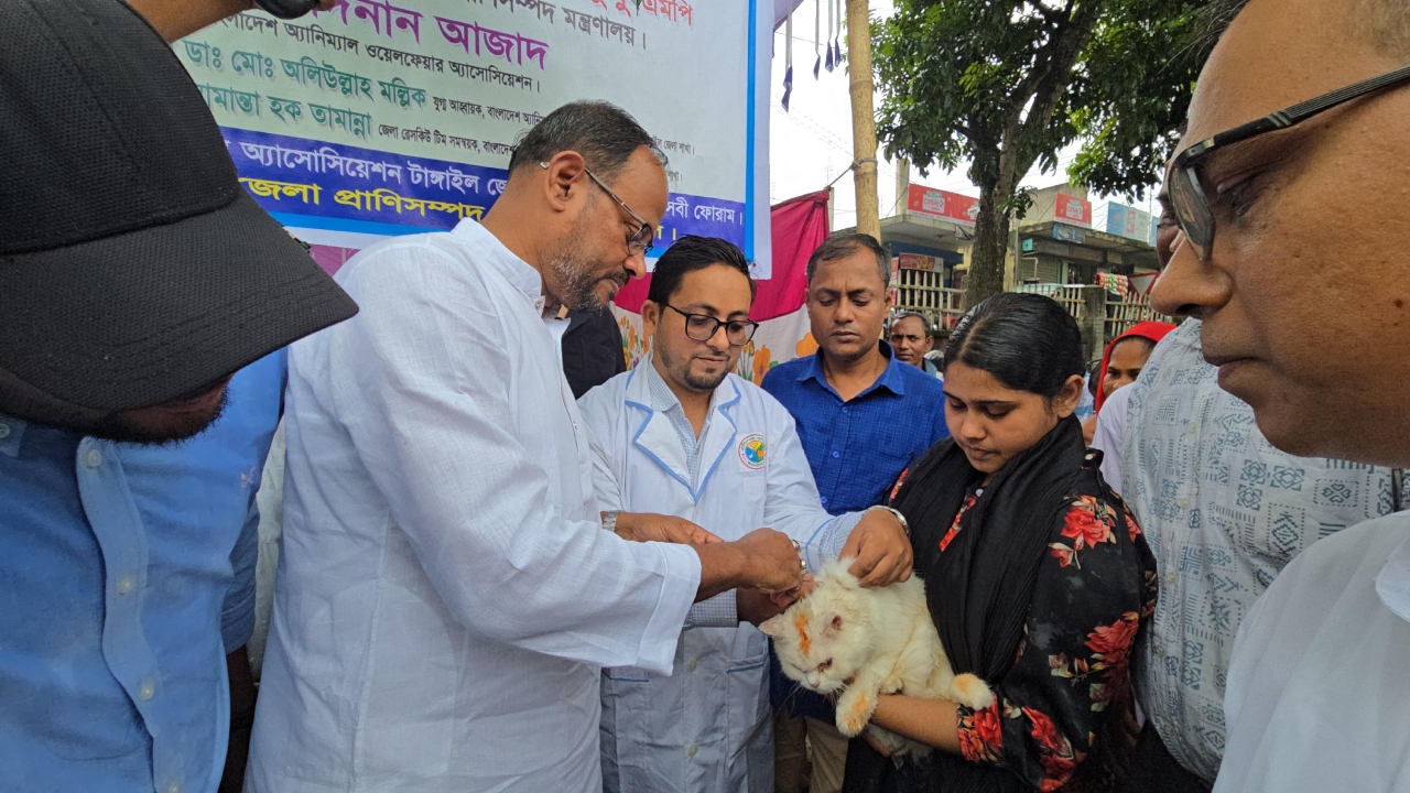 ছবি: দেশ টিভি