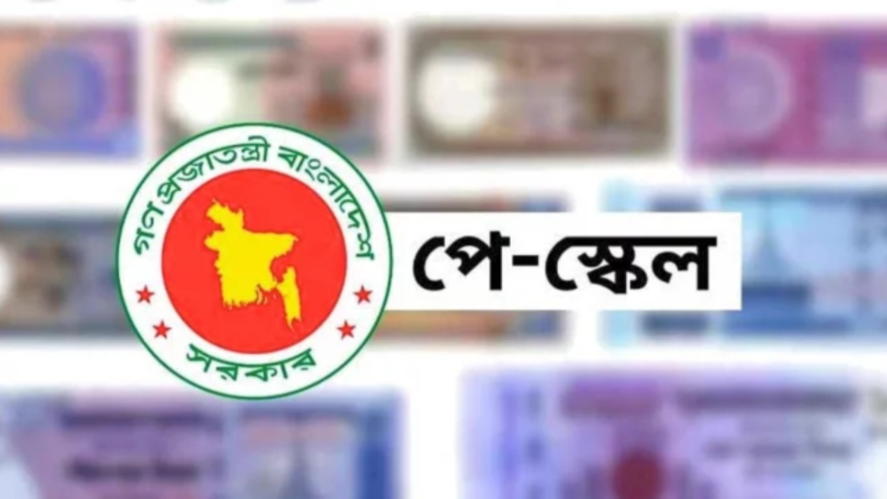 ছবি : সংগৃহীত