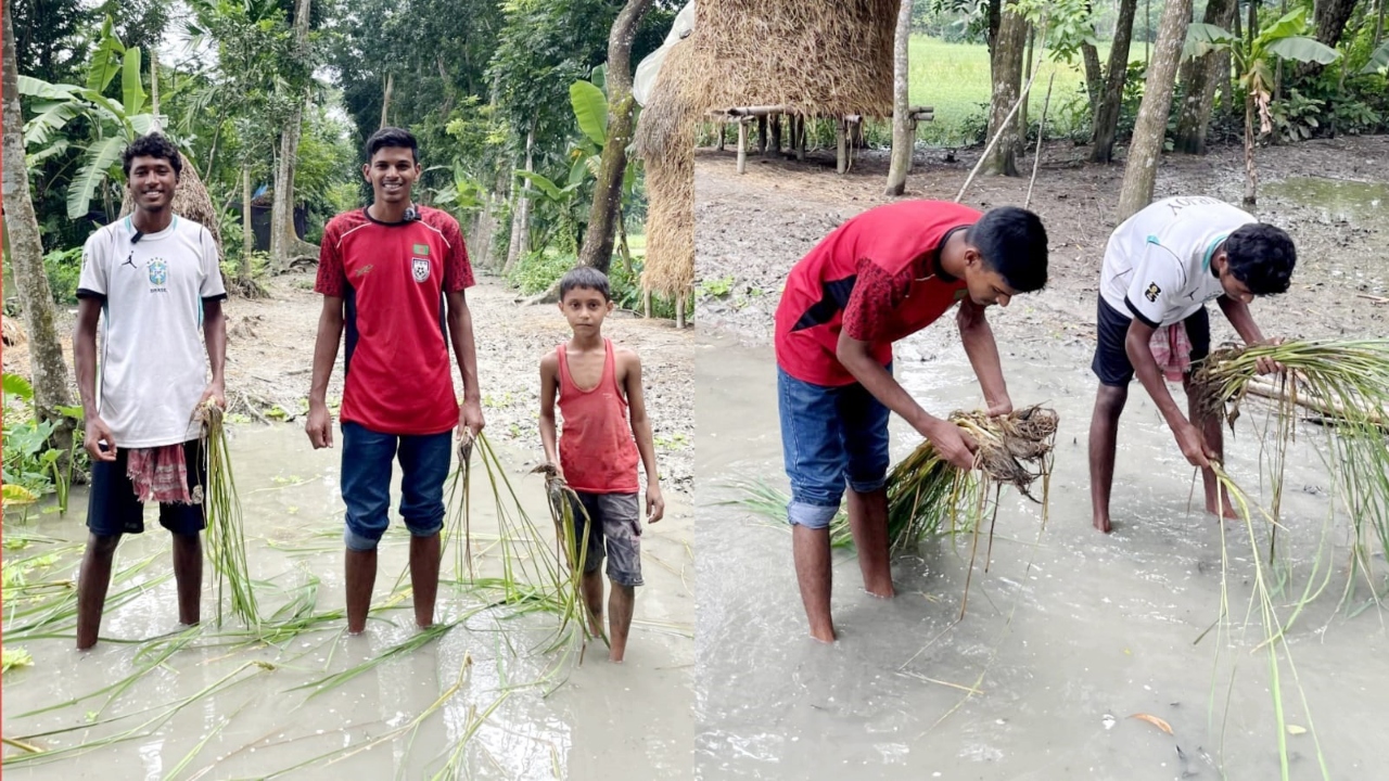 ছবি: দেশ টিভি