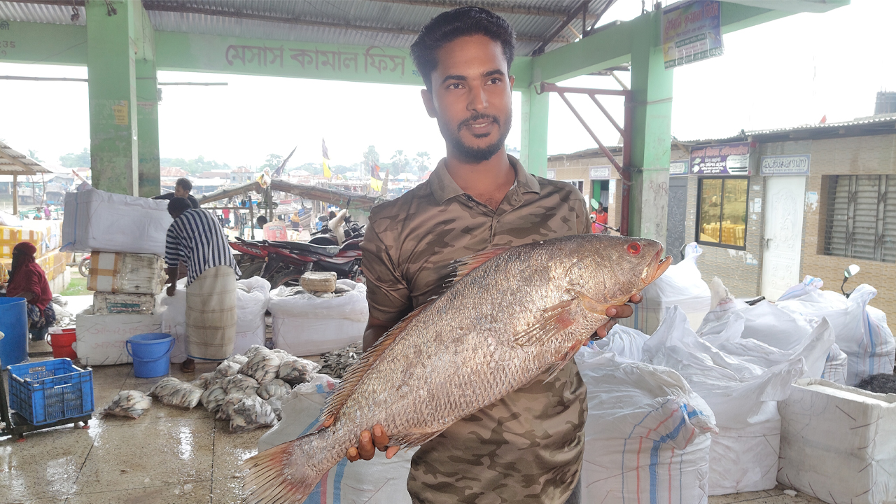 ছবি: দেশ টিভি