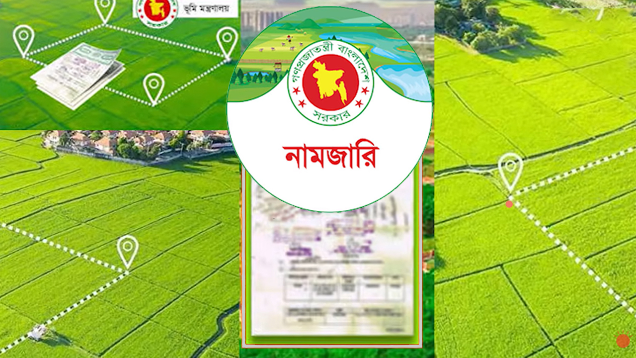 ছবি : সংগৃহীত