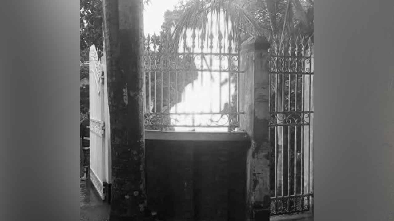 ছবি: দেশ টিভি