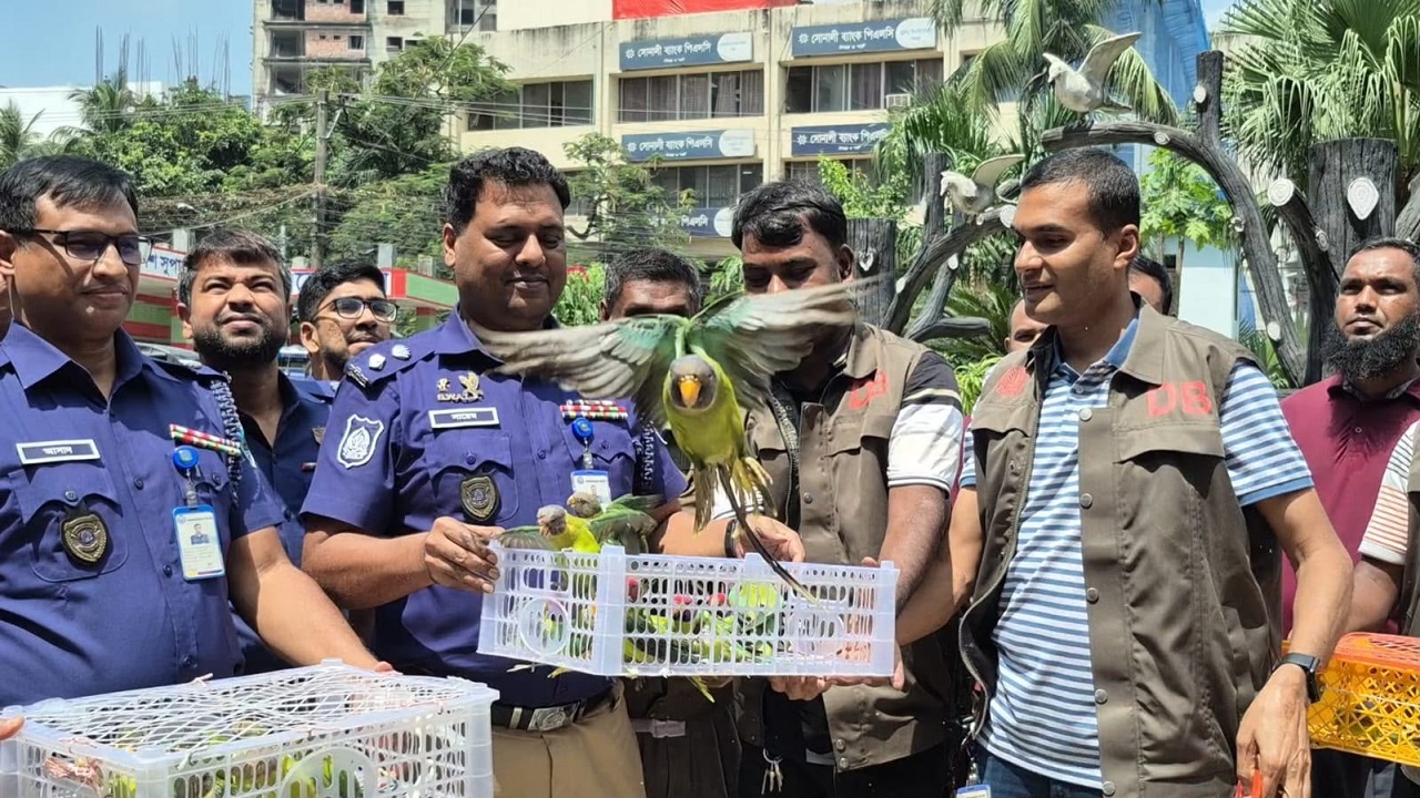 ছবি: দেশ টিভি