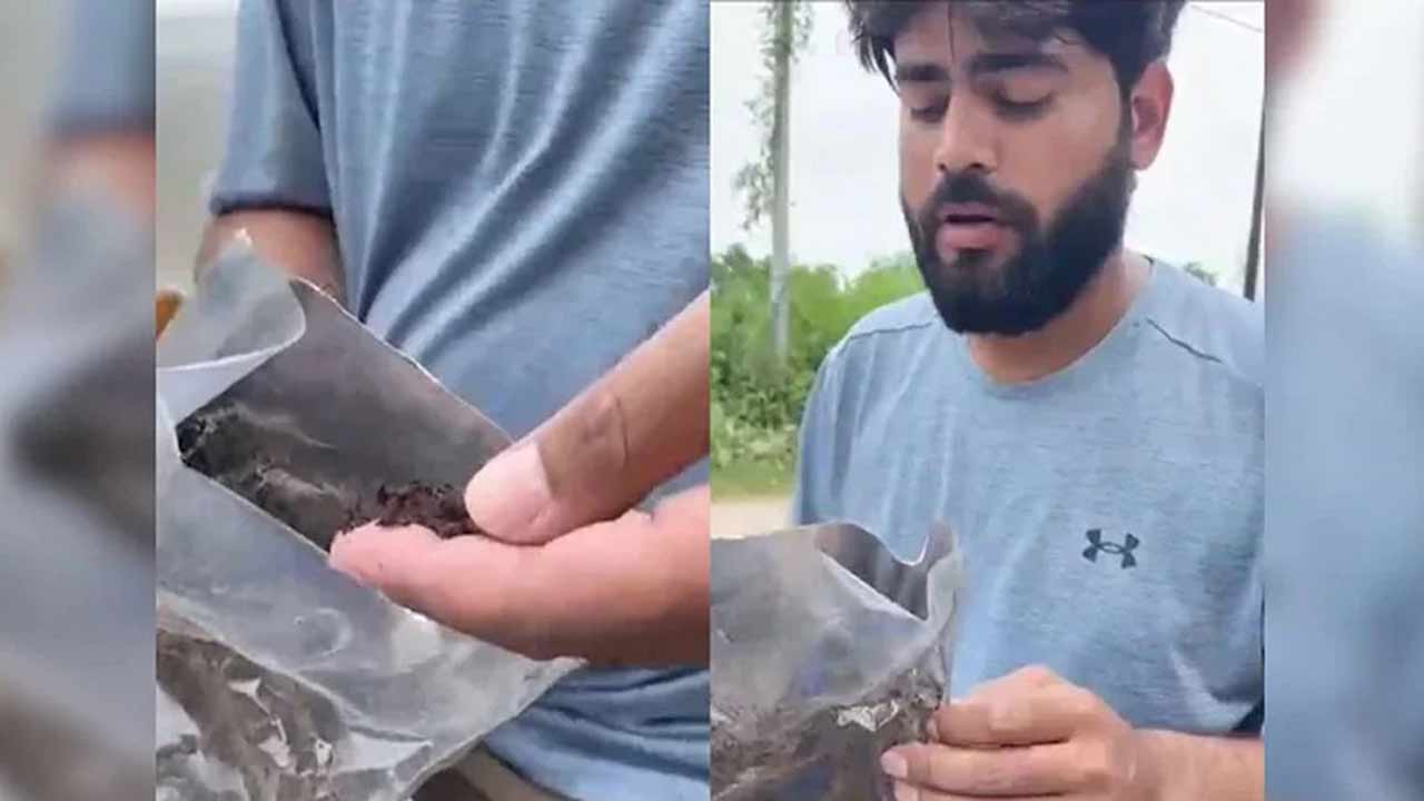 সংগৃহীত ছবি