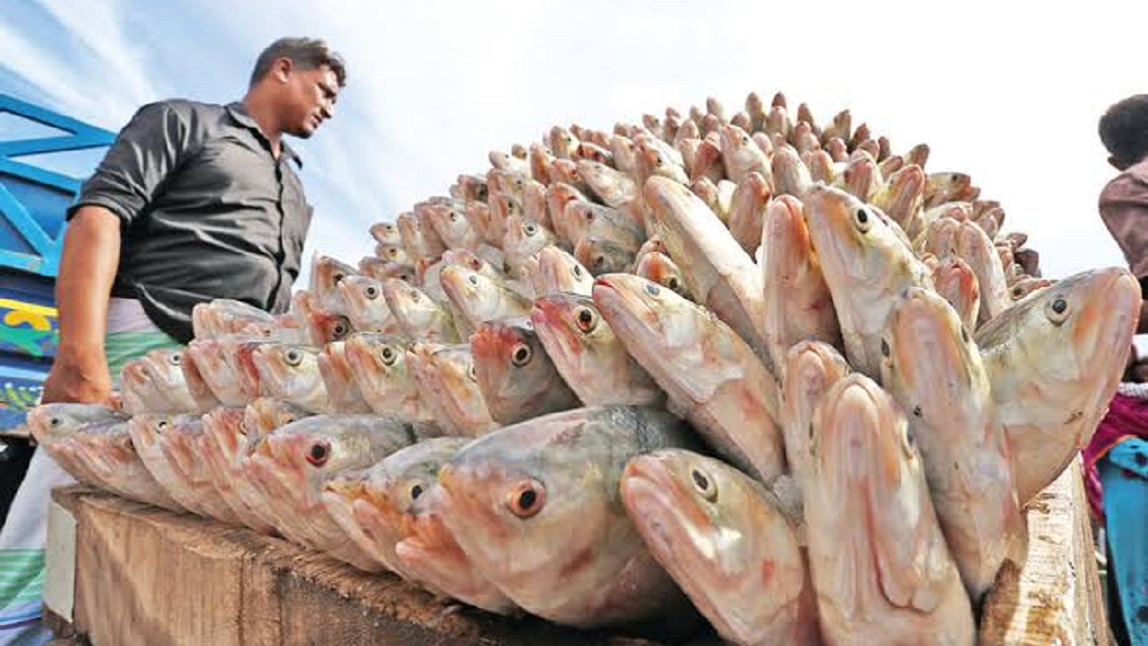 ফাইল ছবি
