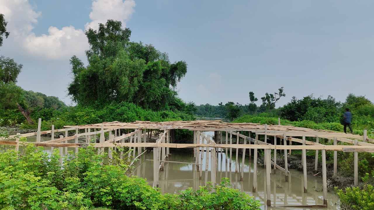 ছবি: দেশ টিভি