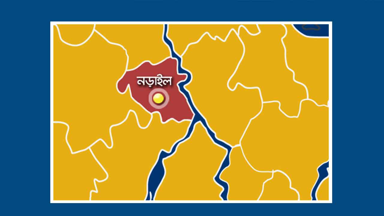 ফাইল ছবি