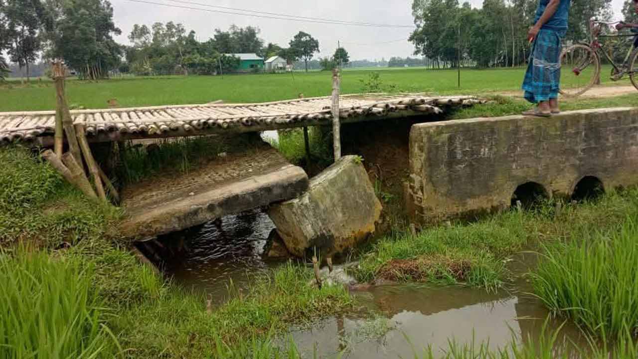 ছবি: দেশ টিভি