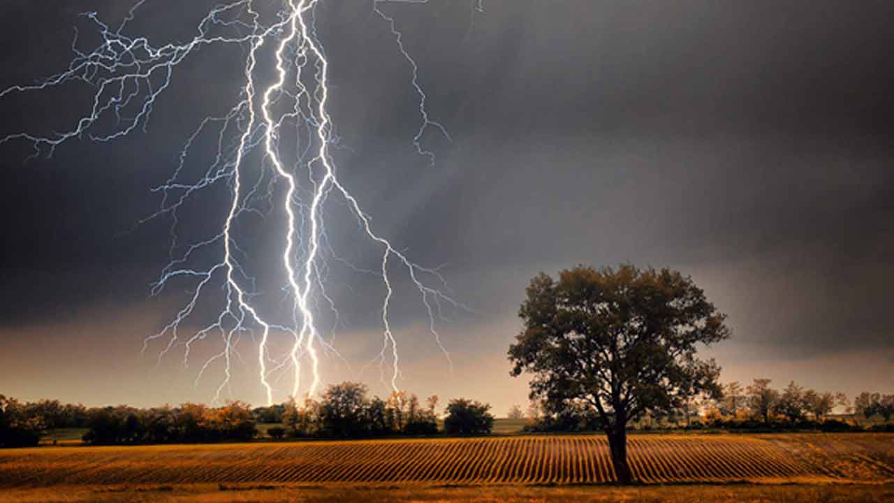 হাওরে হাঁস চড়াতে গিয়ে বজ্রপাতে যুবকের মৃত্যু