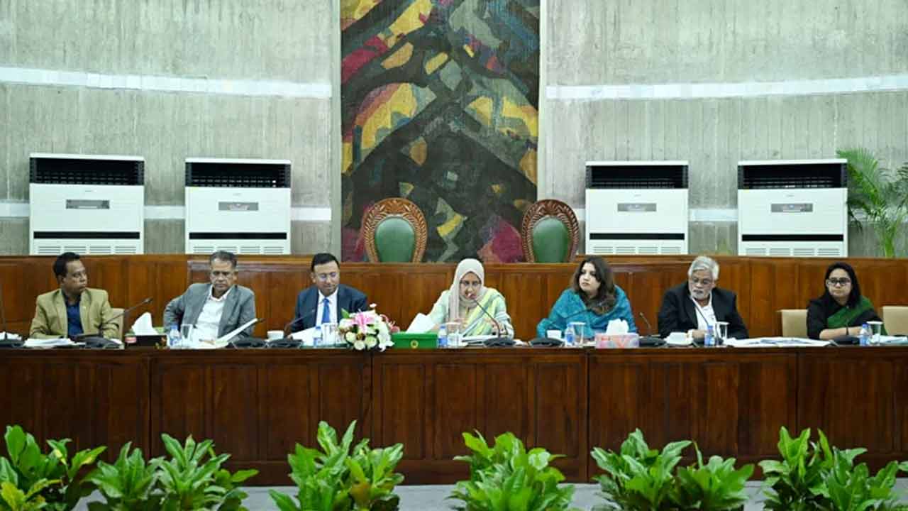 শেখ হাসিনাকে ফেরাতে কূটনৈতিক-আইনগত উদ্যোগ অব্যাহত: স্থায়ী কমিটি