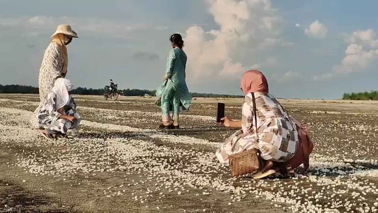 ছবি: দেশ টিভি