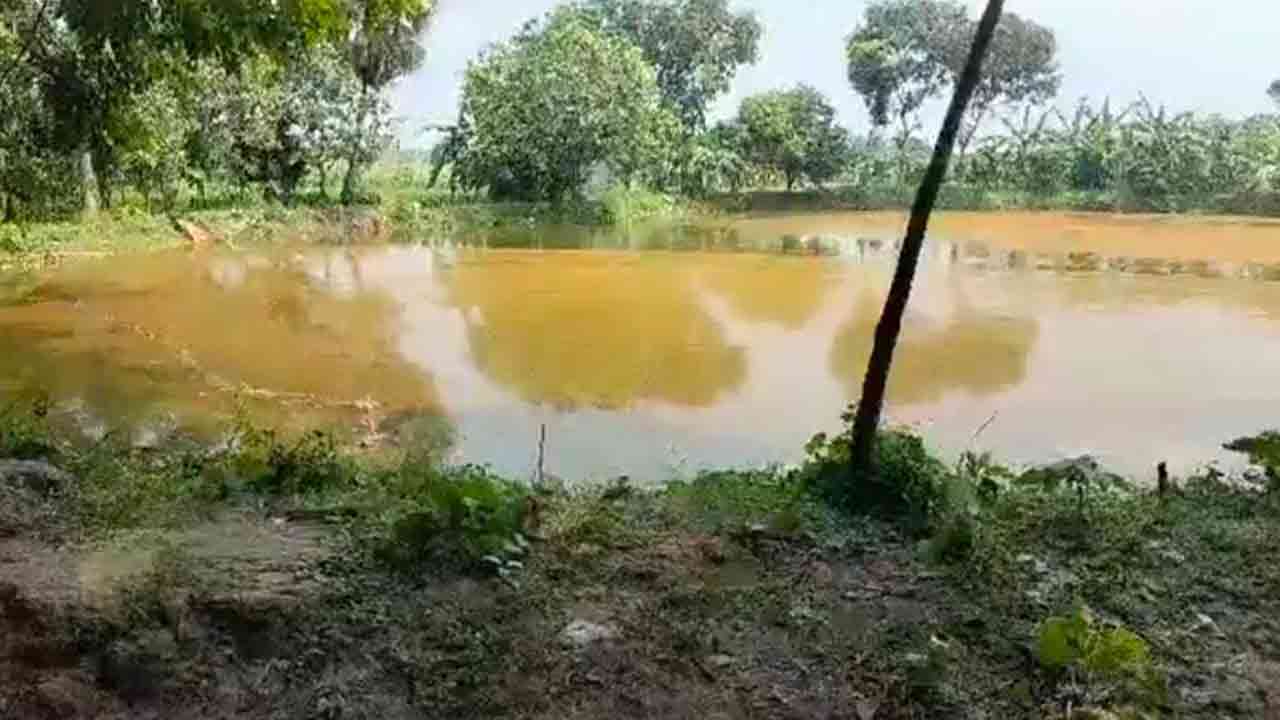 বাগাতিপাড়ায় পুকুর থেকে আনসার সদস্যের মরদেহ উদ্ধার
