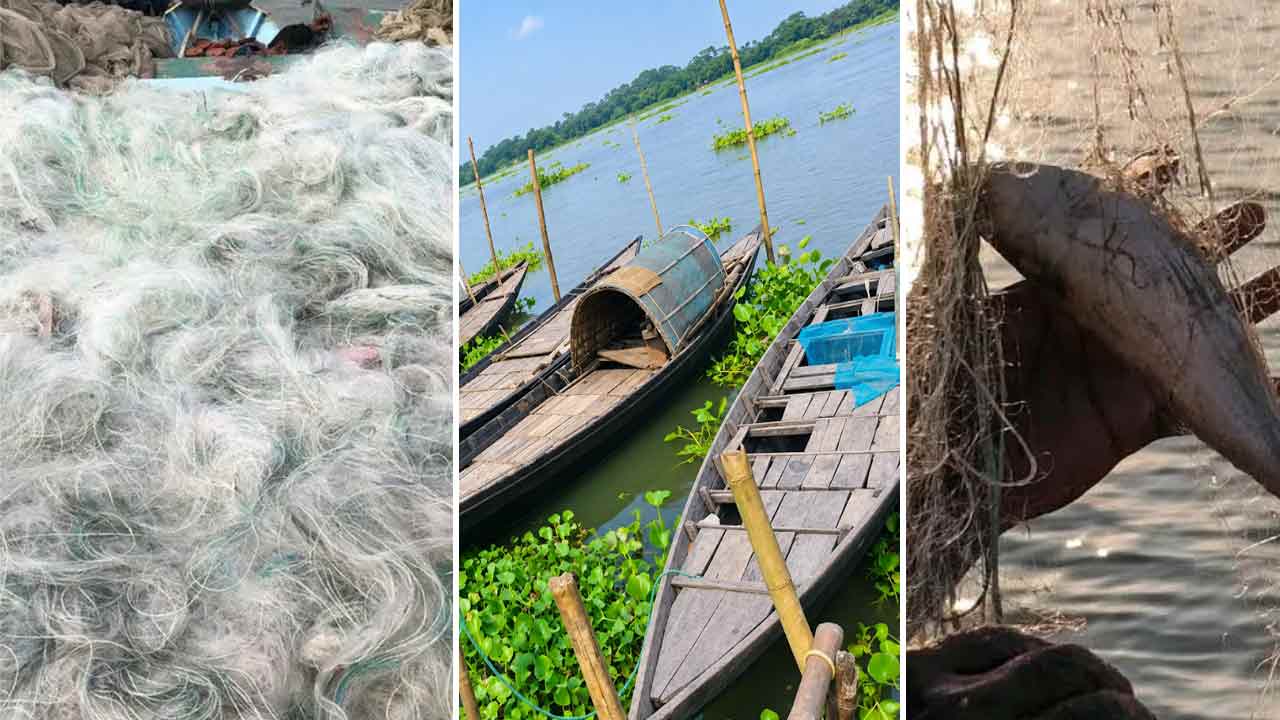 ছবি: দেশ টিভি