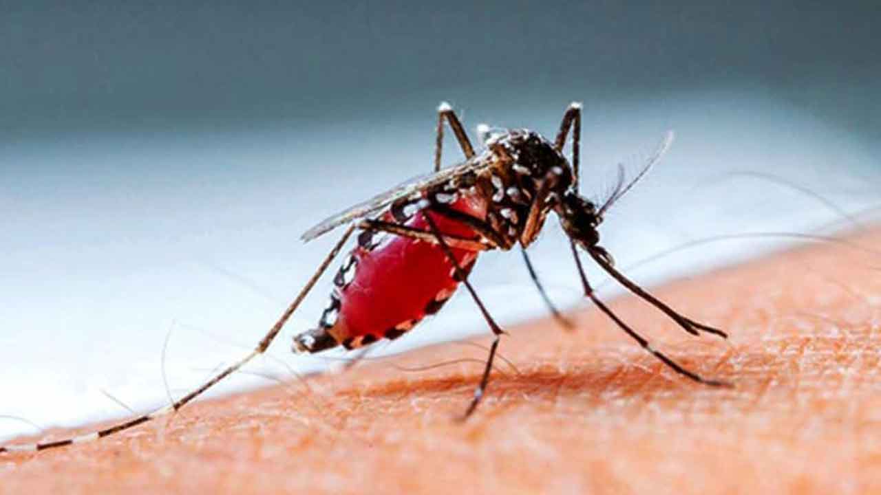 ছবি: দেশ টিভি