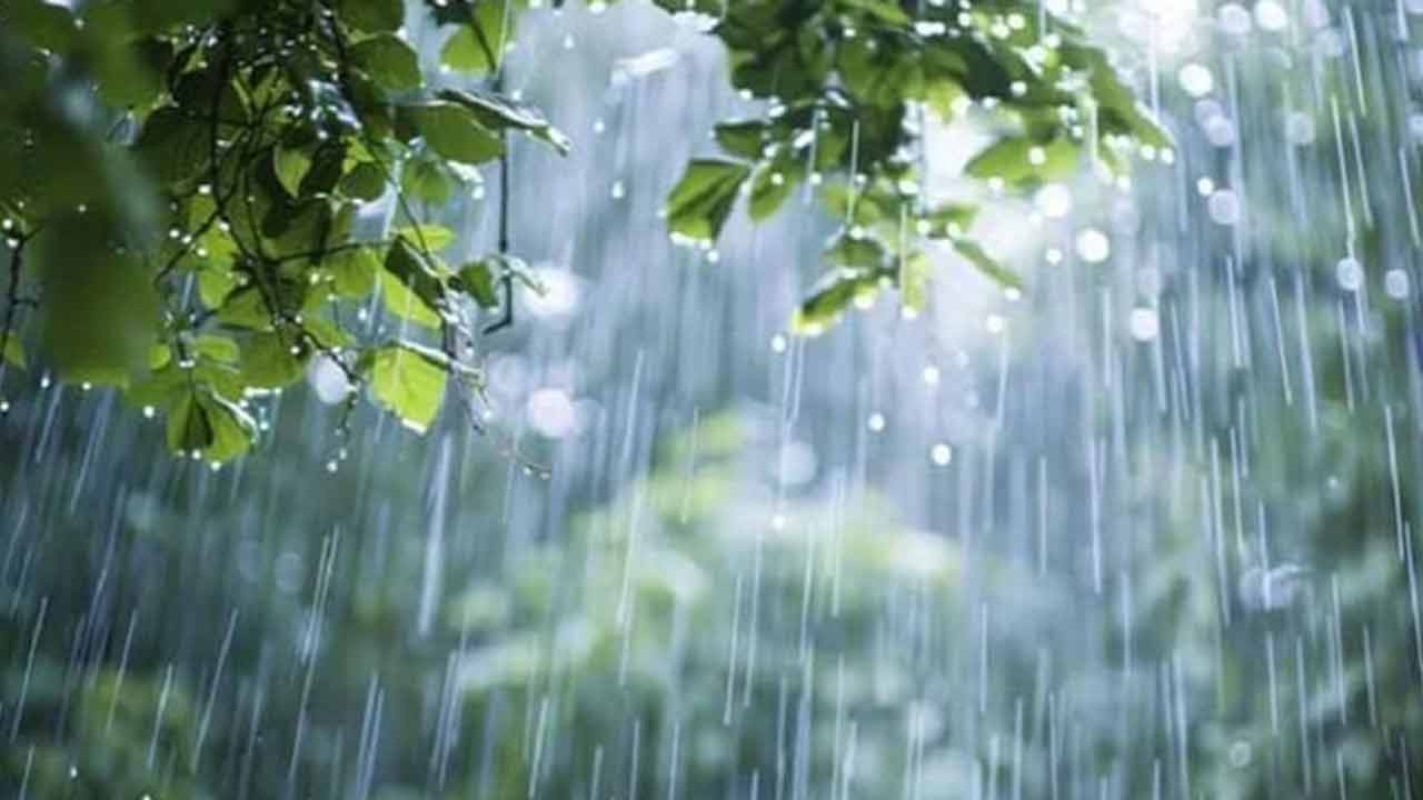 ছবি: দেশ টিভি