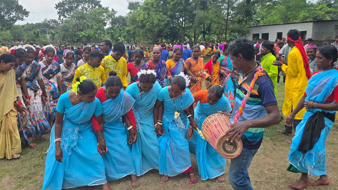 কারাম ডাল ঘিরে নাচ-গান, ঐতিহ্য ধরে রাখার উৎসব নওগাঁয়