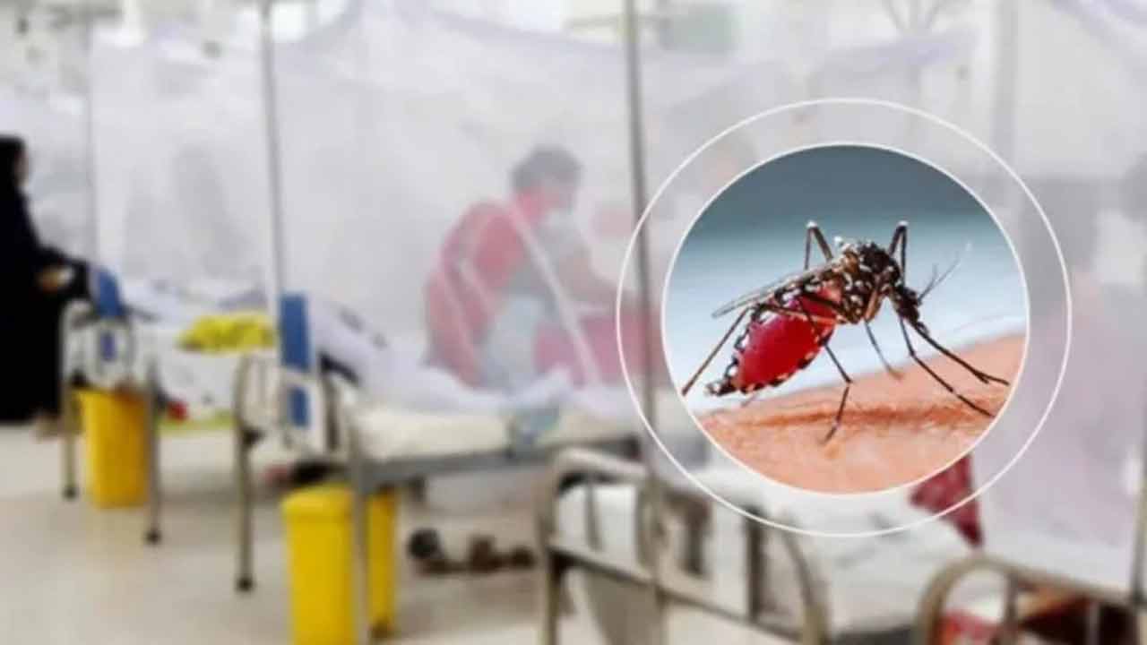 ডেঙ্গুতে ২৪ ঘণ্টায় প্রাণ গেল ৮ জনের