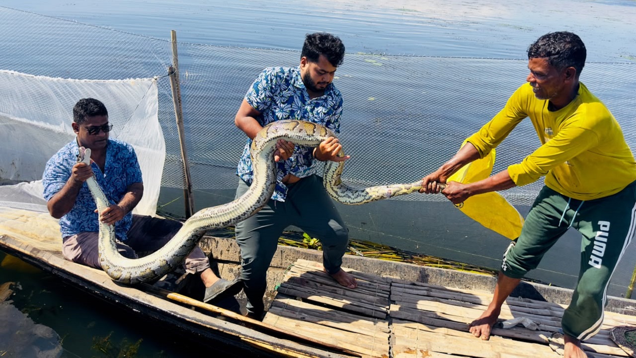 ছবি: দেশ টিভি