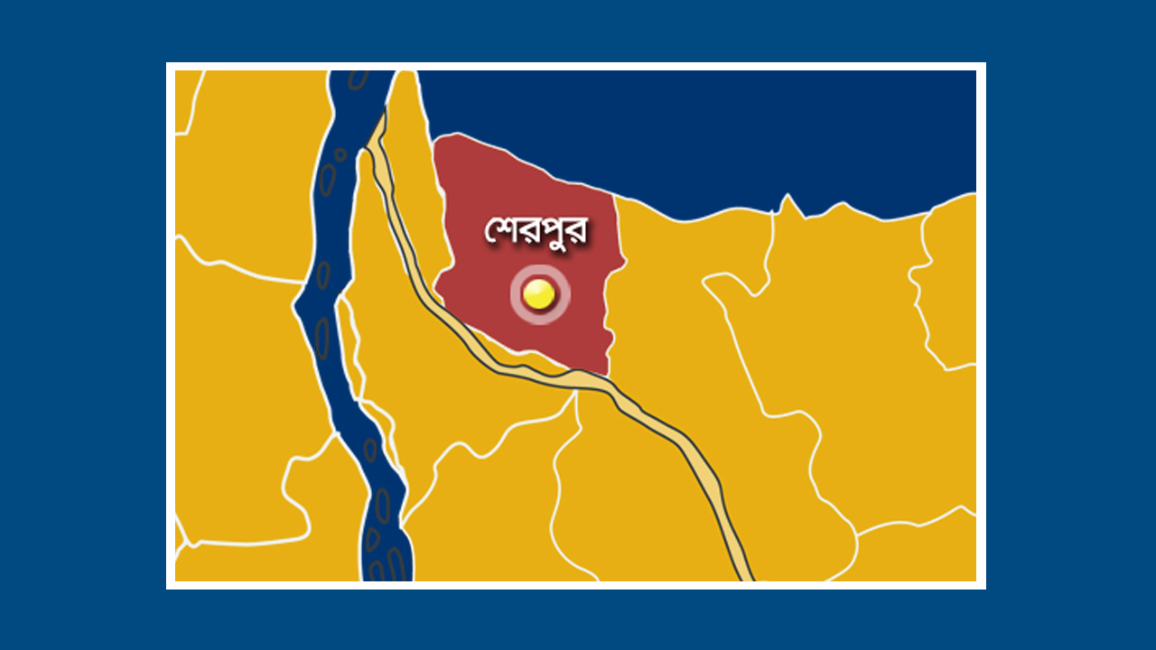 নালিতাবাড়ীতে নারীকে ধর্ষণের অভিযোগ