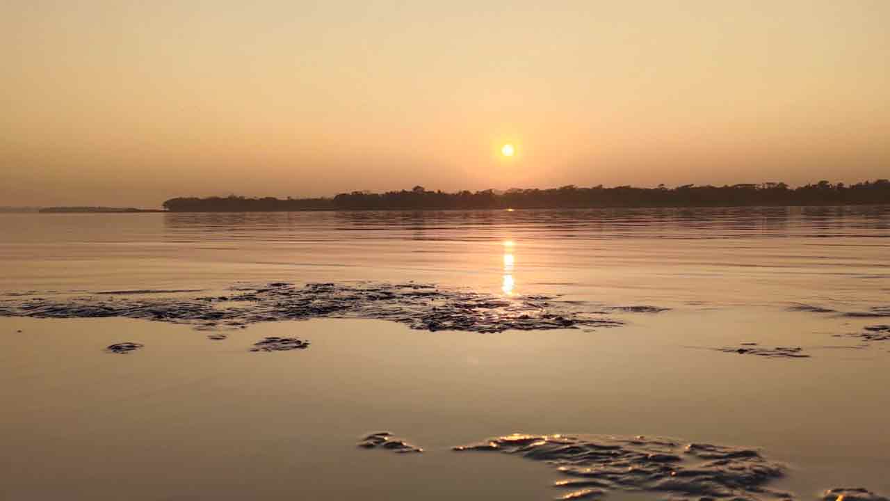ছবি: দেশ টিভি