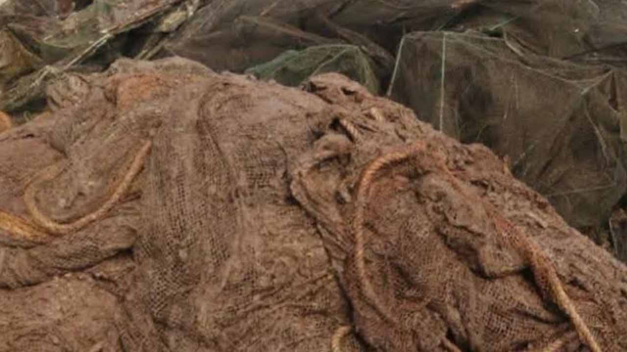 ছবি: দেশ টিভি