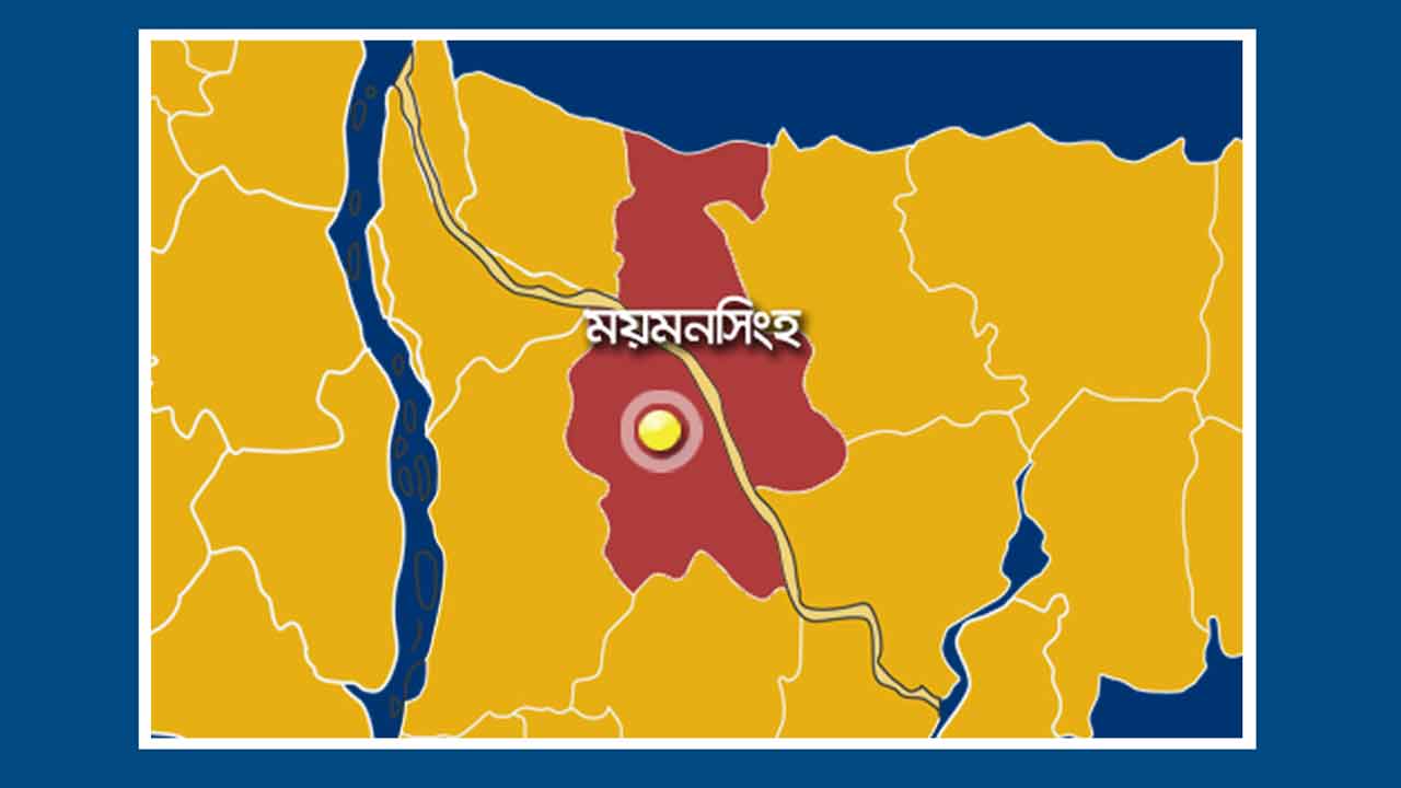 ফাইল ছবি