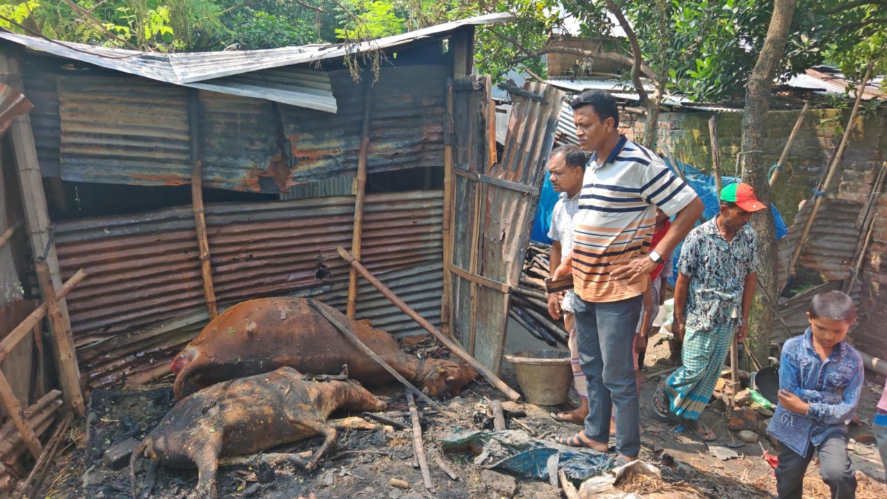 ছবি : দেশ টিভি
