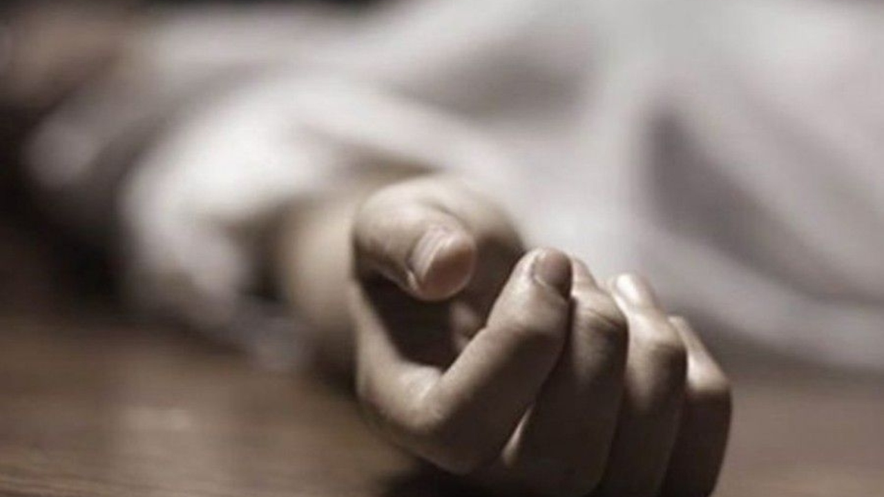 ছবি : সংগৃহীত