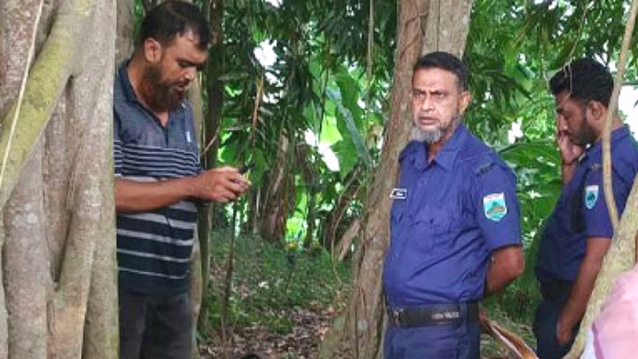 ছবি : দেশ টিভি