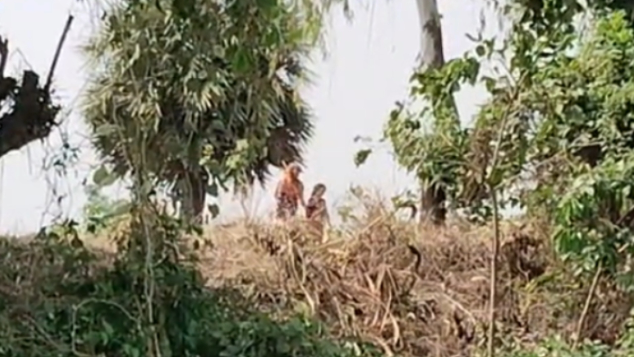 ছবি: দেশ টিভি