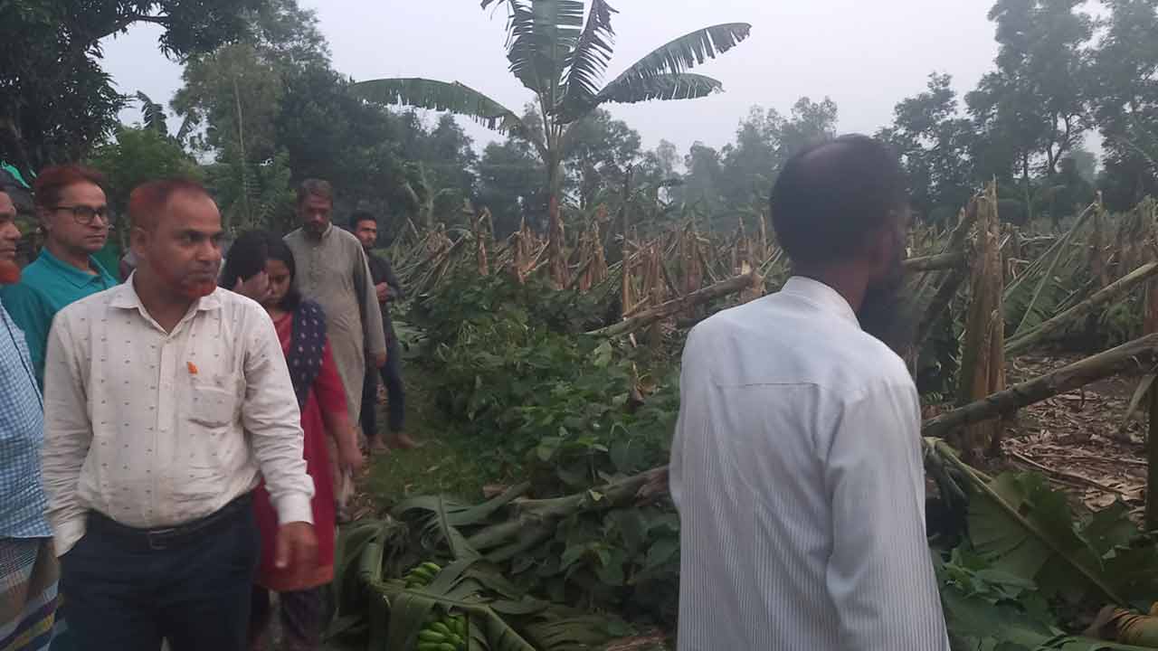 ছবি: দেশ টিভি