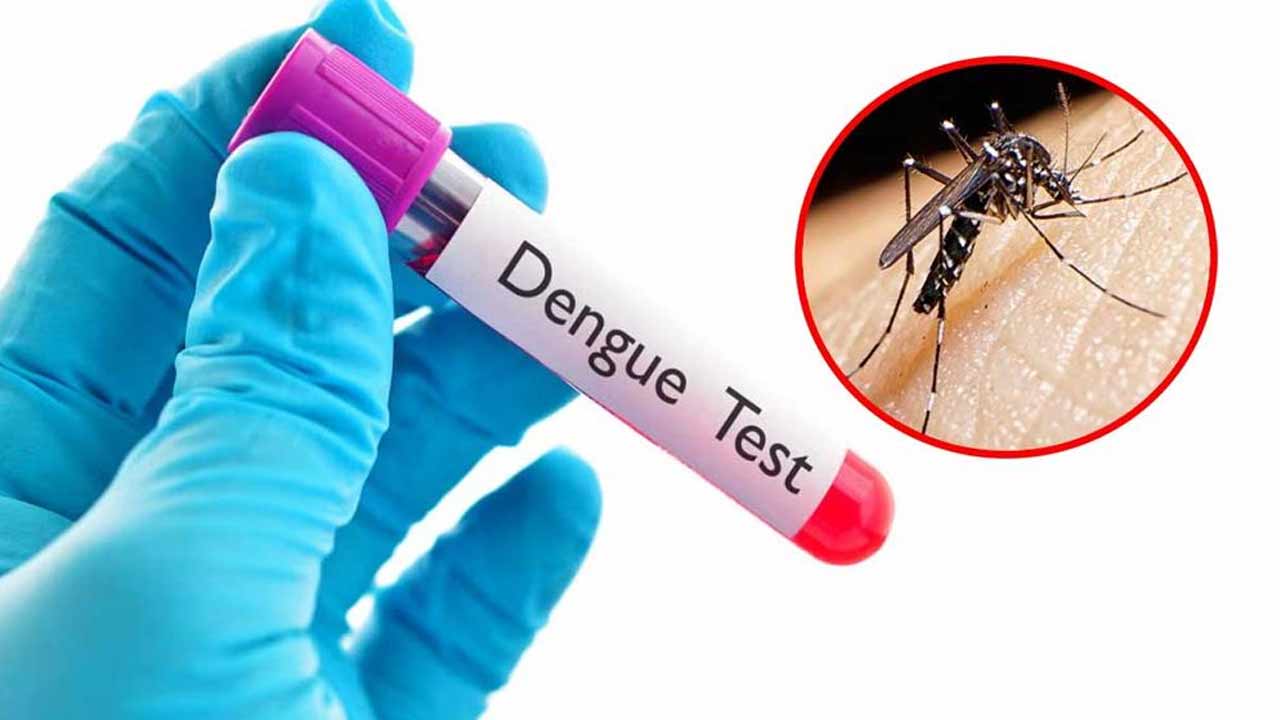 ডেঙ্গুতে আরও ৫ মৃত্যু, এক দিনে হাসপাতালে ভর্তি ১ হাজার ৯৩৫