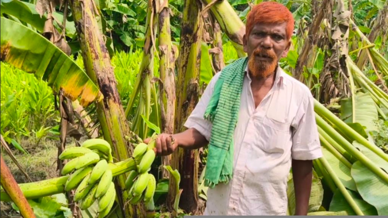 ছবি : দেশ টিভি