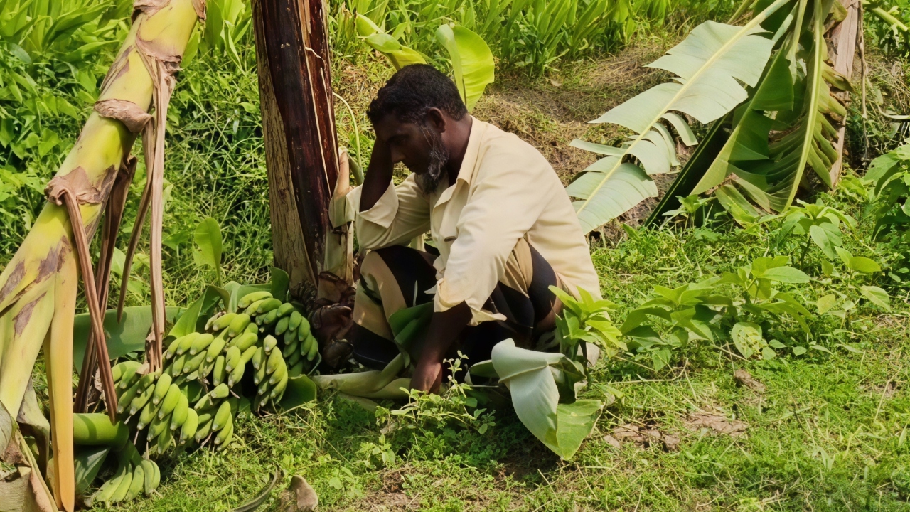 ছবি : দেশ টিভি