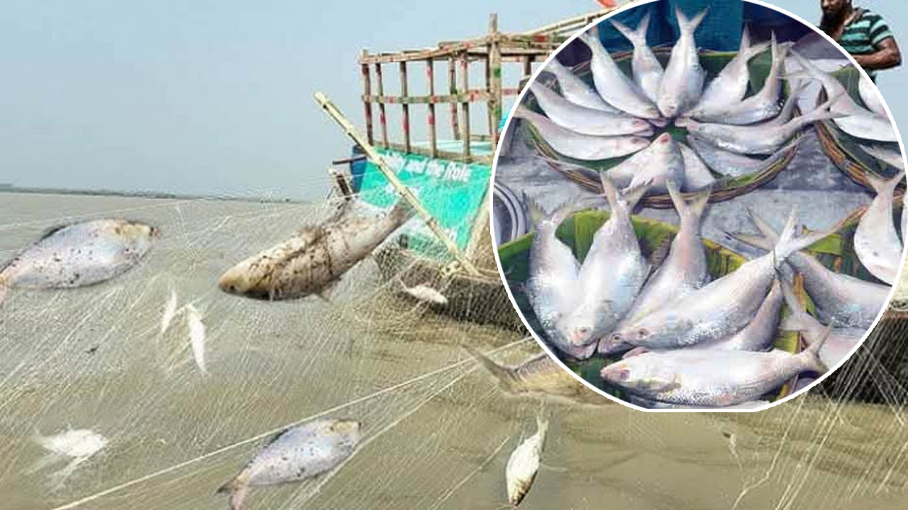 ছবি : সংগৃহীত
