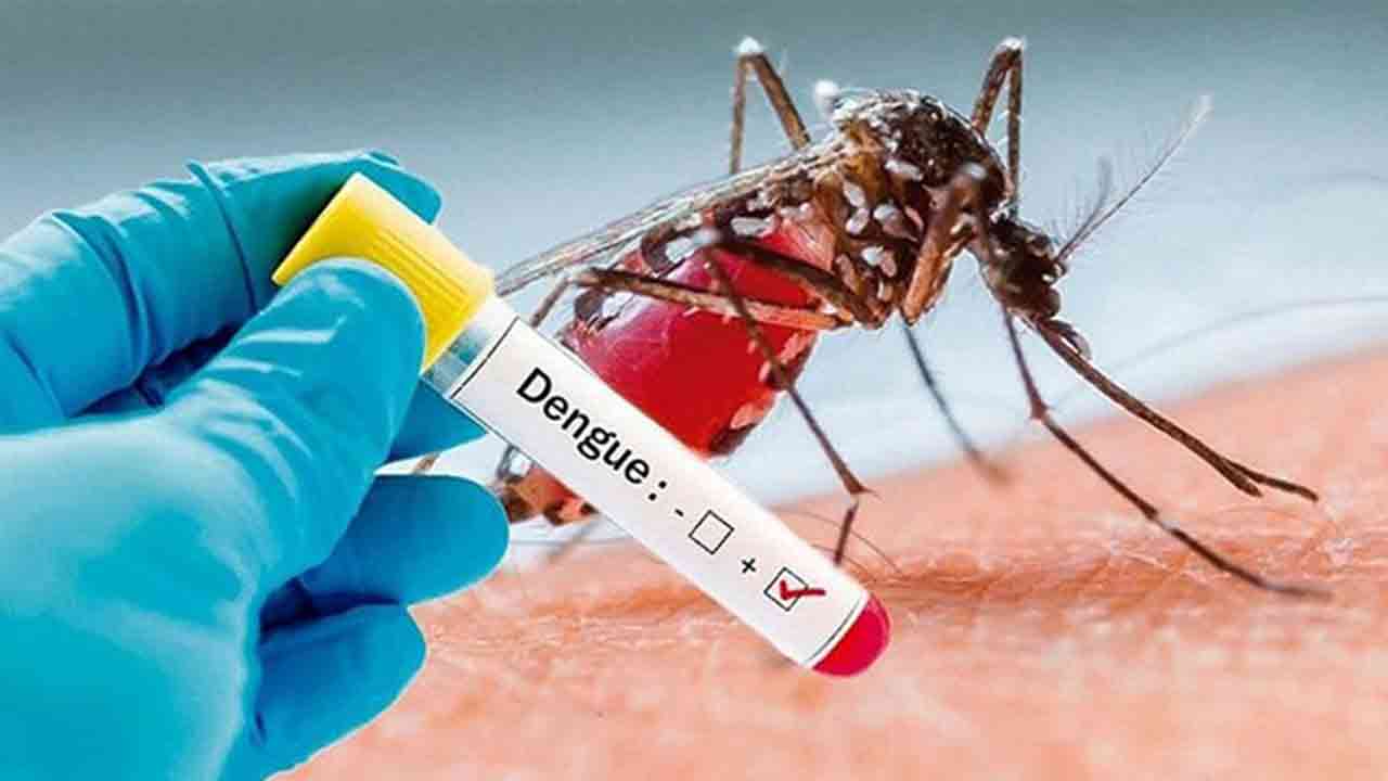 বগুড়ায় ডেঙ্গুতে আরও একজনের মৃত্যু