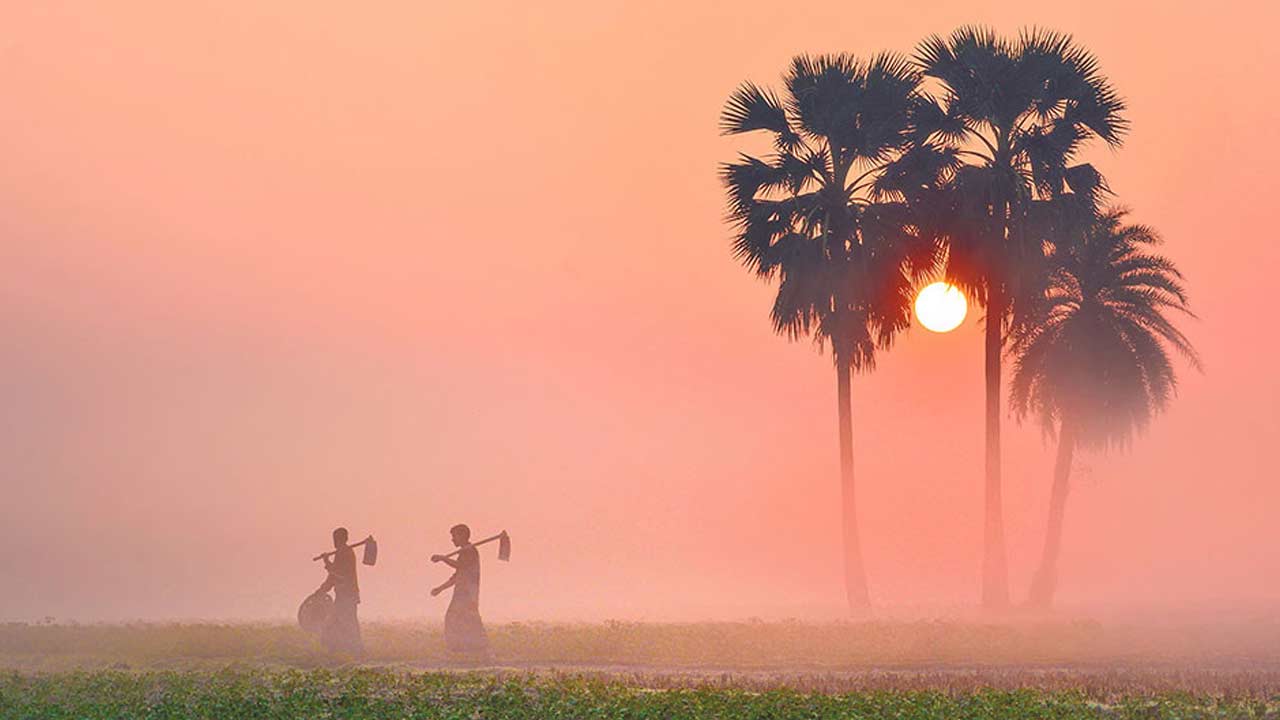 ছবি : সংগৃহীত