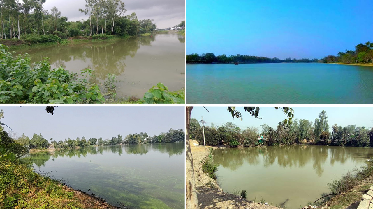ছবি : সংগৃহীত