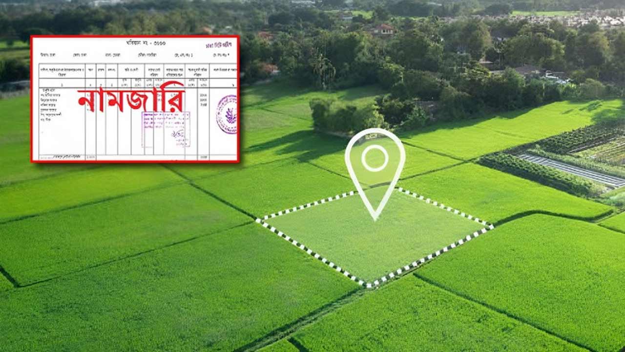 সংগৃহীত